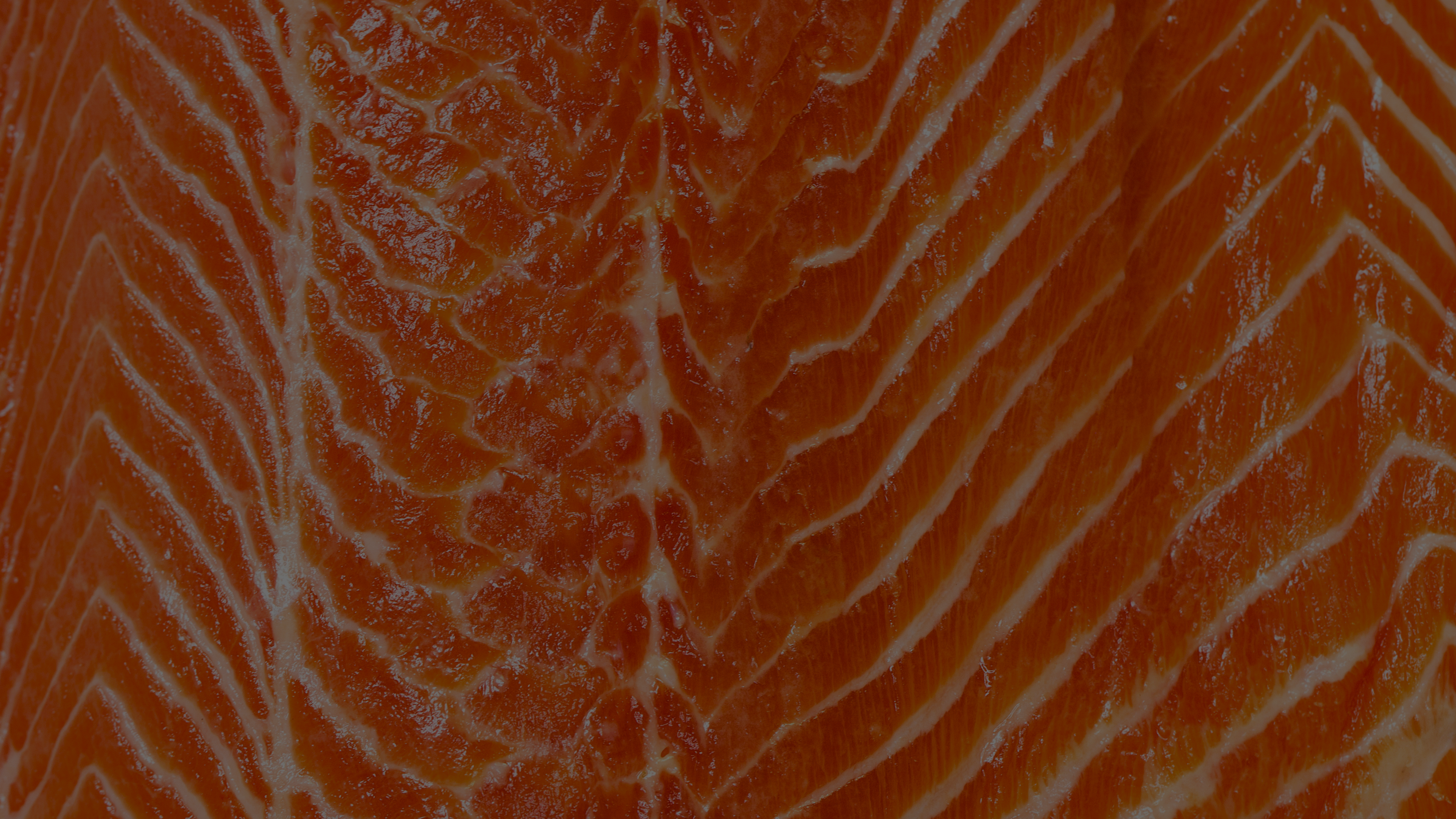 Gros plan sur une tranche de saumon cru