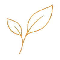 Feuilles symbole des produits frais du traiteur Déliss à Marseille